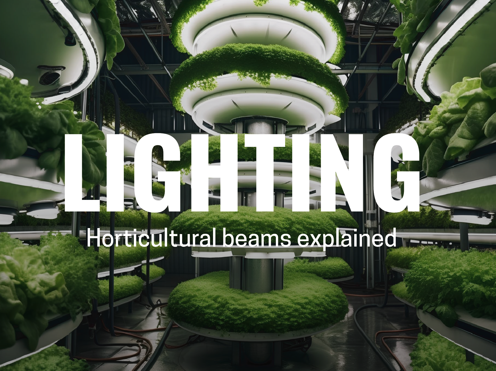 Understanding Horticultural Lighting: Shedding Light on Plant Growth