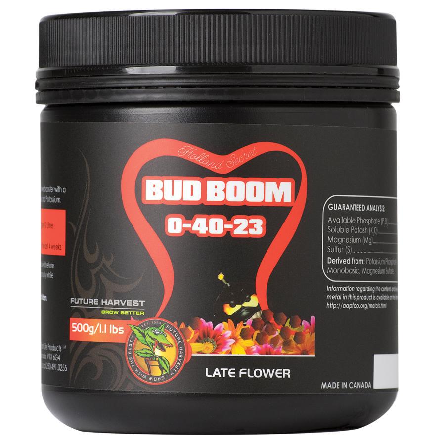 Bud Boom -