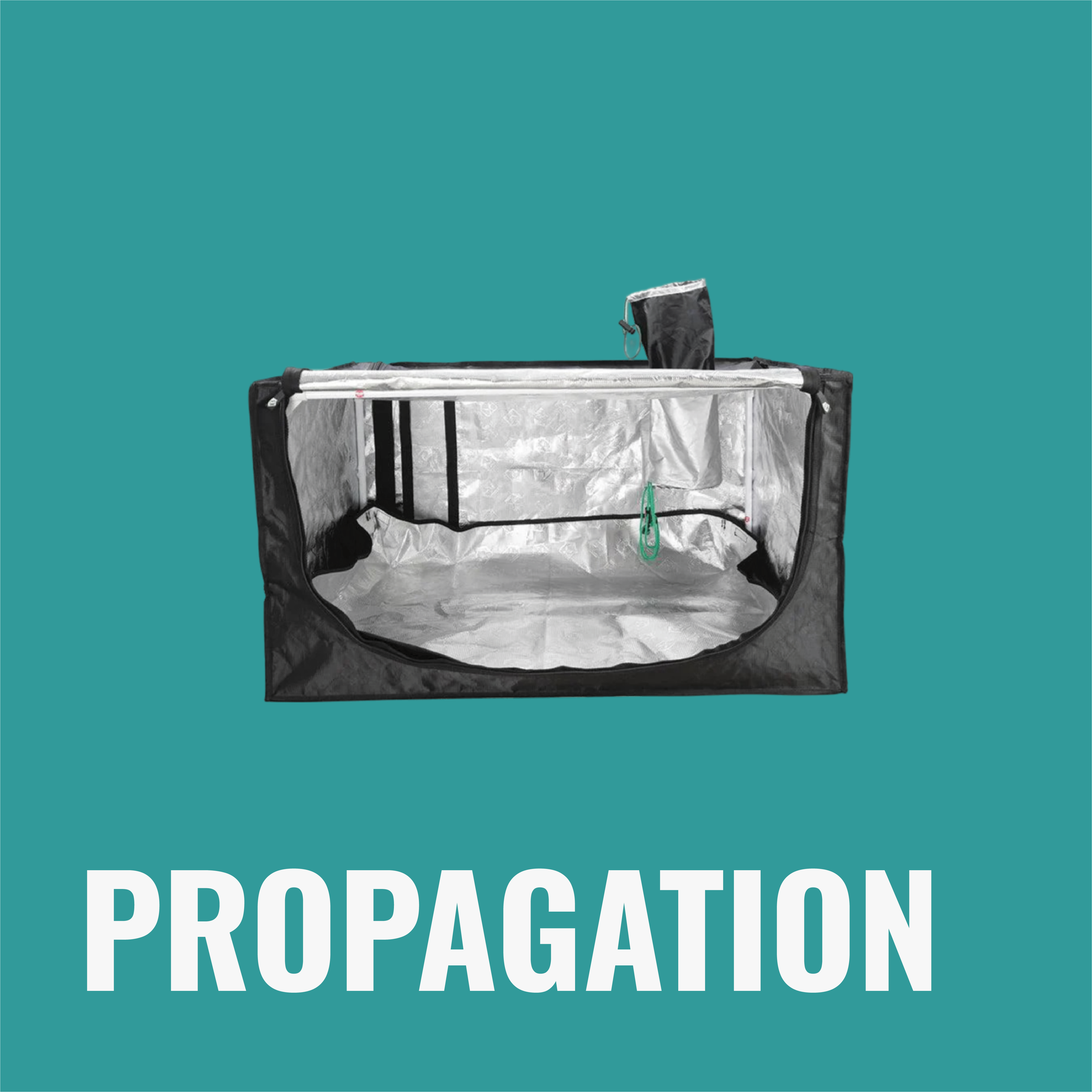 Propagation