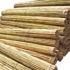 6ft bamboo 25 pack