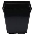 Square Pot 13cm - 1.5L