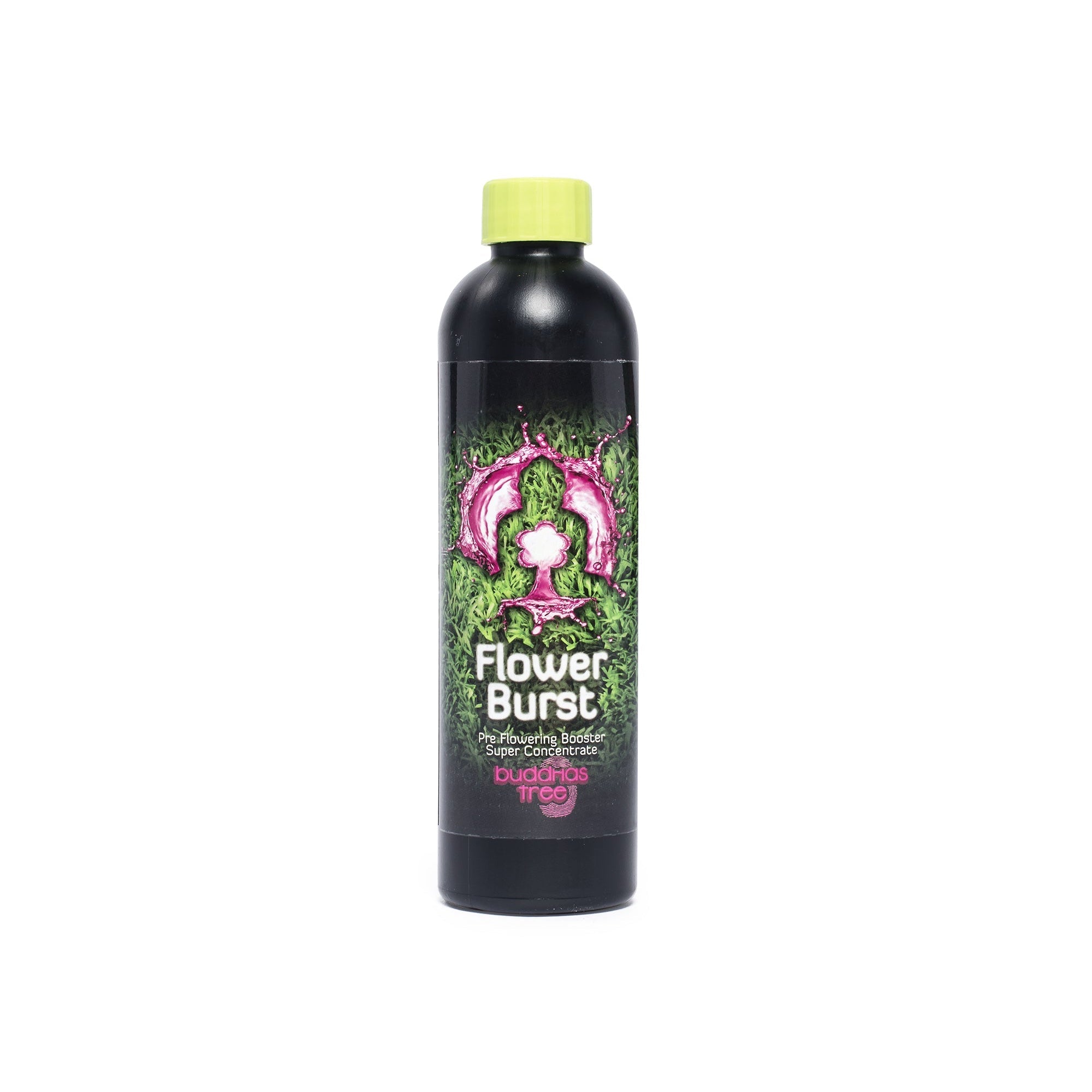 Buddhas Tree Flower Burst 250ml