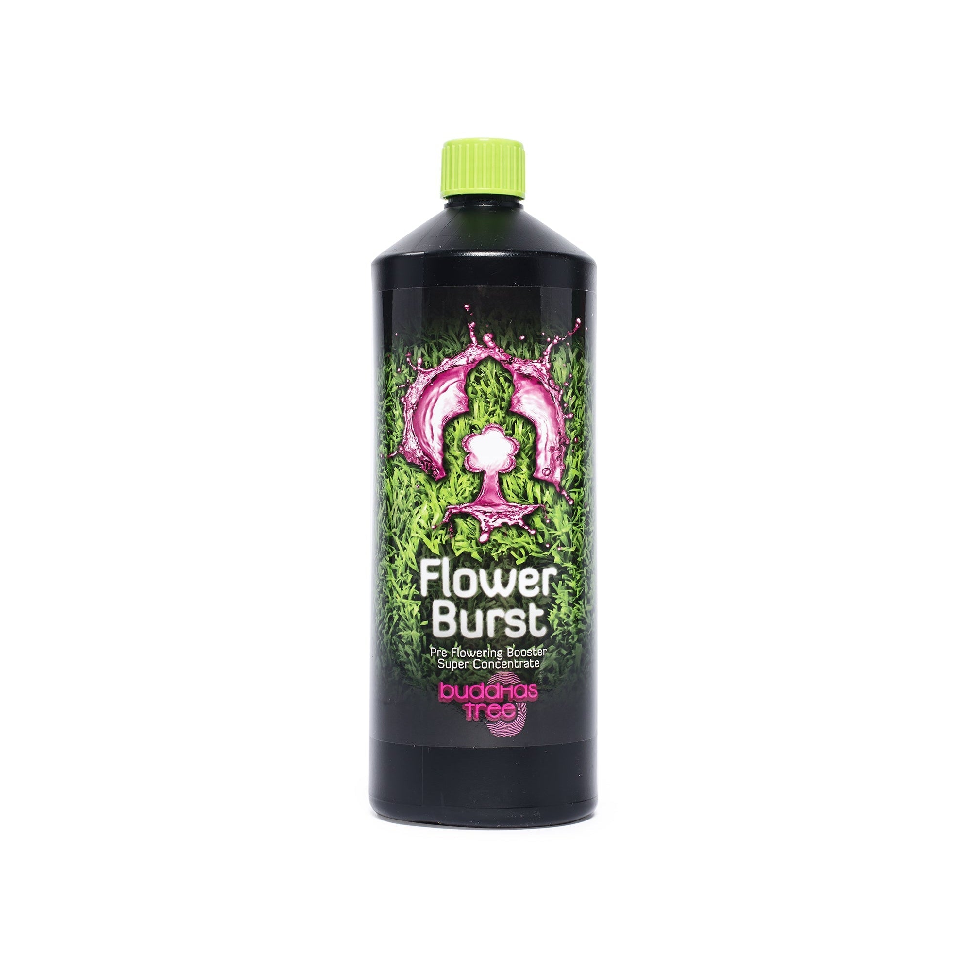 Buddhas Tree Flower Burst 500ml