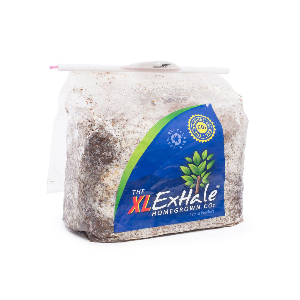 Exhale CO2 Bag XL