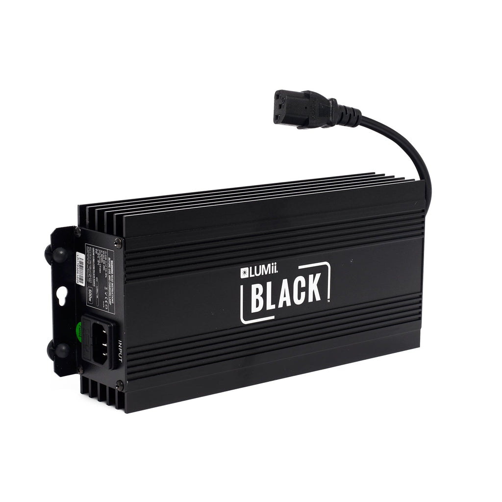 Lumii Black 600W Electronic Light Kit